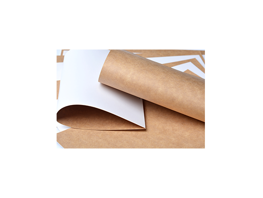 芬蘭涂布?？?>
                        <span>芬蘭涂布牛卡紙</span>
                    </a>
                </li>
<li>
                    <a href=